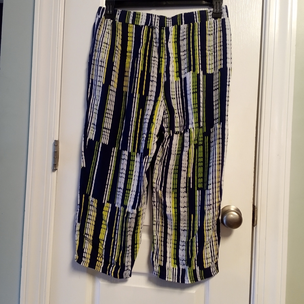 Kim Rogers Navy and Lime Striped Pants
